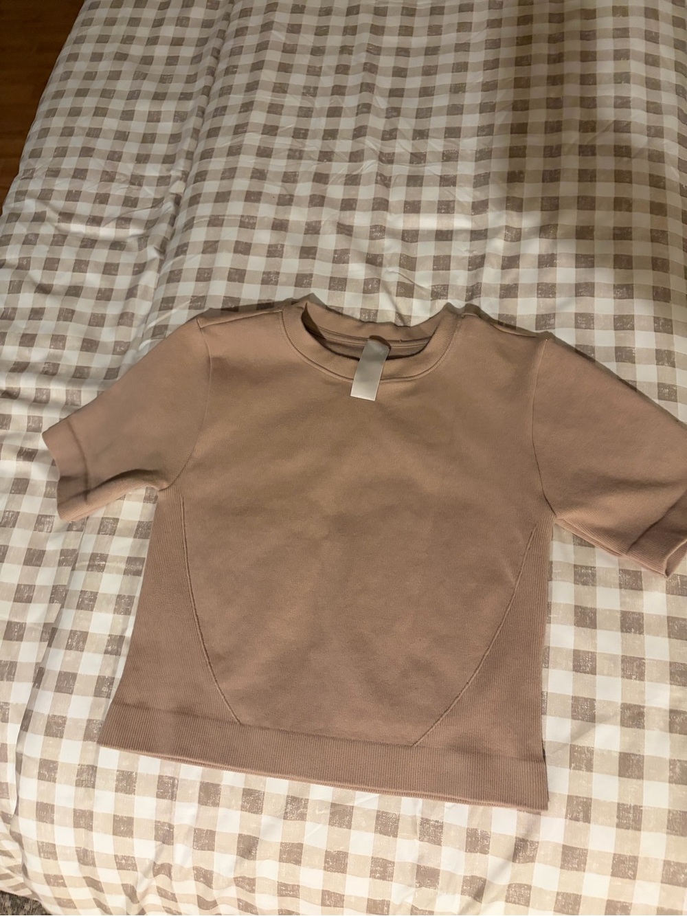 Everlane Short Sleeve Crop Top in Light Taupe